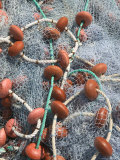 French West Indies  Guadaloupe  Marie-Galante Island  GRAND-BOURG: Fishing Nets  Grand Bourg Harbor