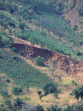 Deforestation and Erosion Landslide  Tanzania