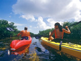 Sea Kayaking Through Mangrove on Shallow Flats of Bimini Island  Bahamas