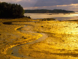Outgoing Tide at Sunset on Campobello Island  New Brunswick  Canada