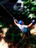Canopy Walking in Morne Trois Pitons National Park  Dominica  Caribbean