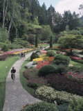Sunken Garden at Butchart Gardens  Vancouver Island  British Columbia  Canada