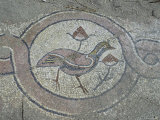 Mosaics in the UNESCO Site Thermae  Butrint  Albania