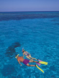 Snorkeling in Clear Waters  Bahamas  Caribbean