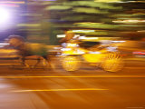 Horse and Wagon at Night  Melbourne  Victoria  Australia