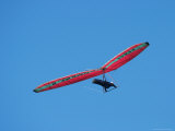 Hang glider  Otago Peninsula  South Island  New Zealand