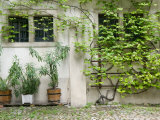 Courtyard off Psoriases  Graz  Styria  Austria