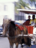 Horse Carriage along Bay Street  Nassau  Bahamas  Caribbean