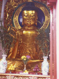 Golden Buddha  Sha Tin Cemetary  Hong Kong