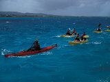 Kayaking  Aruba  Caribbean