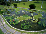 Palm Grove Gardens  Bermuda  Caribbean