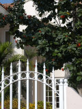 Private Home  Aruba  Caribbean