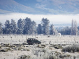 Four Wheel Drive and Hoar Frost  South Island  New Zealand