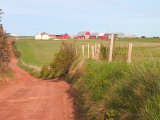 Country Road and Farm  Prince Edward Island  Canada