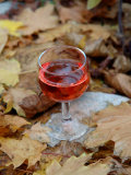 Vivarais Railway Stop and Glass of Kir  Ardeche  France
