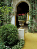 Planter and Arched Entrance to Garden in Casa de Pilatos Palace  Sevilla  Spain