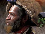 Portrait of a Huli Wigman  Tari  Papua New Guinea  Oceania