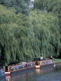 Barge on River Ouse  Ely  Cambridgeshire  England