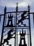 Decorative Wrought-Iron Gate of Alcazar  Cordoba  Spain