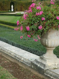 Formal Gardens of Versailles  France