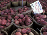 Apples at a Roadside Farmers Stand  Willard  Utah  USA