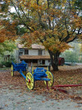Vivarais Railway Stop and Wagon  Ardeche  France