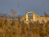 Grasses surrounding Corral Bullring  Camargue  France