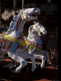 Carousel in Paris  France