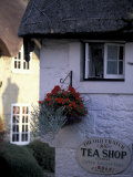 Cottages in Old Shanklin  Isle of Wight  England