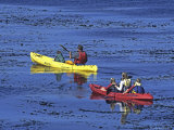 Family Exploring the Monterey Bay  California  USA