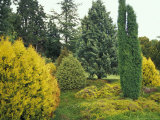 Exbury Gardens  Rothschild Estate  New Forest  Hampshire  England