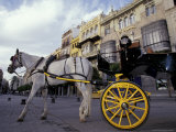 Horse Drawn Carriage  Plaza de America  Sevilla  Spain