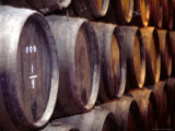 Rows of Jerez Casks in Bodega  Jeres de la Frontera  Spain