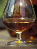 Armagnac is Made From White Grapes  Aquitania  France