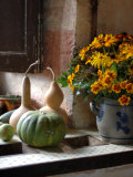Gourds and Flowers in Kitchen in Chateau de Cormatin  Burgundy  France