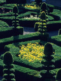 Garden at Villandry Chateau  Loire  Valley  France