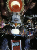 Male Dancer of the Mendi Tribe  Mt Hagen  Papua New Guinea