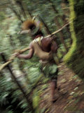 Huli Wigman on Forest Trail  Papua New Guinea