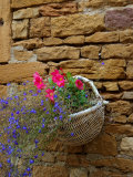Wicker Basket of Flowers on Limestone Building  Burgundy  France
