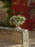 Urn of Petunias  Chateau de Pierreclos  Burgundy  France