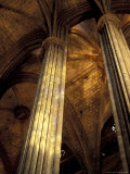 Columns and Ceiling of St Eulalia Cathedral  Barcelona  Spain