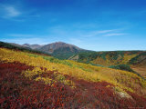 Autumn's Colours in the Mountains near Esso  Kamchatka  Russia