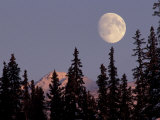 Moonrise in Early Winter  Chugach Range  Alaska  USA