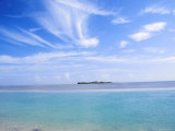 Lone Island in Ocean  Florida Keys  Florida  USA