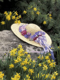 Hat and Daffodils  Louisville  Kentucky  USA