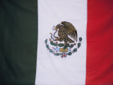 Mexican National Flag  Puerto Vallarta  Jalisco  Mexico