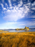 Altocumulus Clouds above Rushes and Tufa on Shore of Mono Lake  California  USA