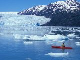 Kayakers and Icebergs in Nassau Fjord  Chenega Glacier  Prince William Sound  Alaska  USA