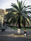 Behind Santo Domingo  Oaxaca  Mexico