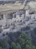 Anasazi Cliff Dwelling  Cliff Palace  Mesa Verde National Park  Colorado  USA